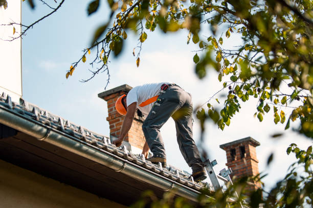 Reliable Dimondale, MI Roofing Contractor Solutions