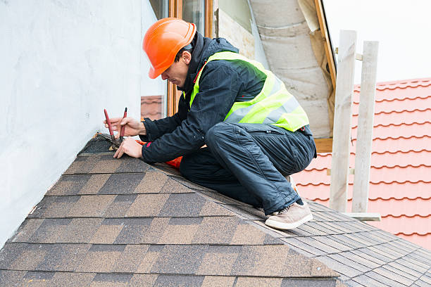 Best Residential Roofing Contractor  in Dimondale, MI