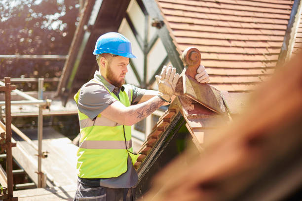Best Roof Restoration Services  in Dimondale, MI